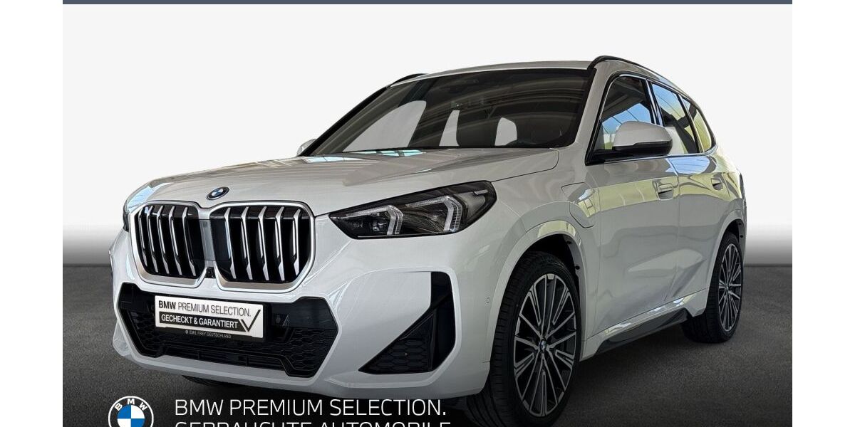 BMW X1 25.699 km 48.980 &euro; Landau 76829