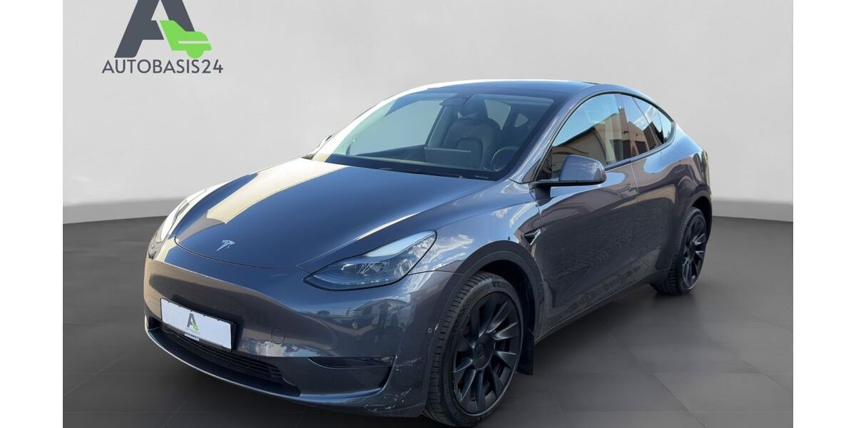 Tesla Model Y 73.600 km 33.900 &euro; Linkenheim-Hochstetten 76351