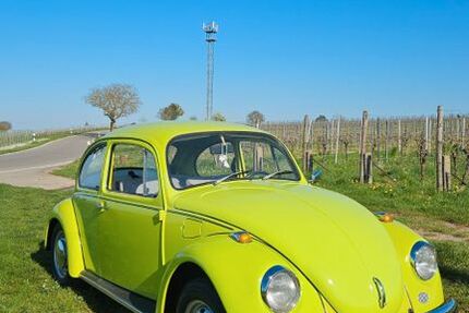 VW Käfer 89.000 km 11.499 &euro; Landau 76829