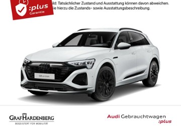 Audi Q8 e-tron 28.022 km 45.980 &euro; Karlsruhe 76131
