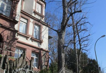 Wohnung Pforzheim Nordstadt - 4 Zimmer, 92 m&sup2;, 600&euro; | Angebot:27186229